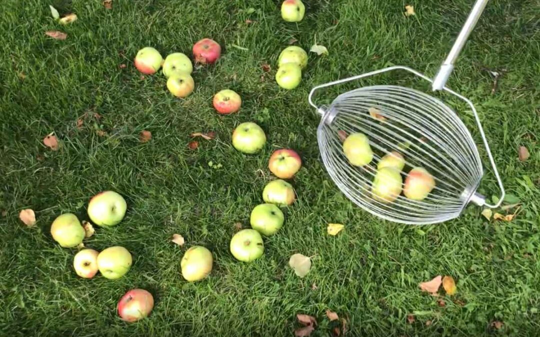 Smart äppelplockare till din trädgård