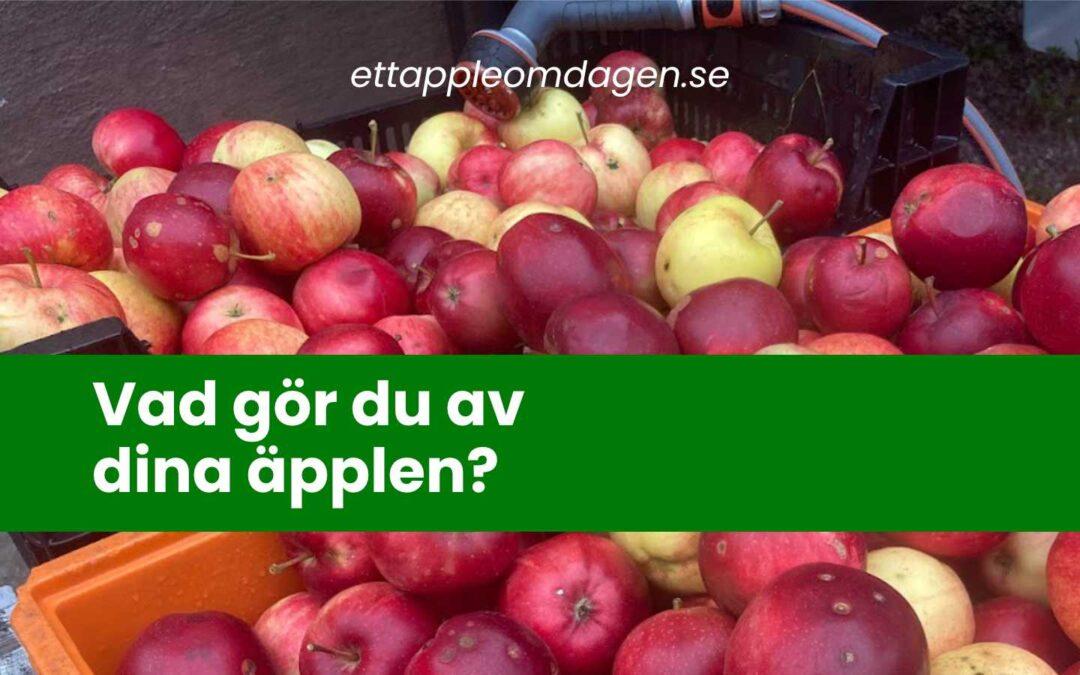 Vad gör du av dina äpplen?